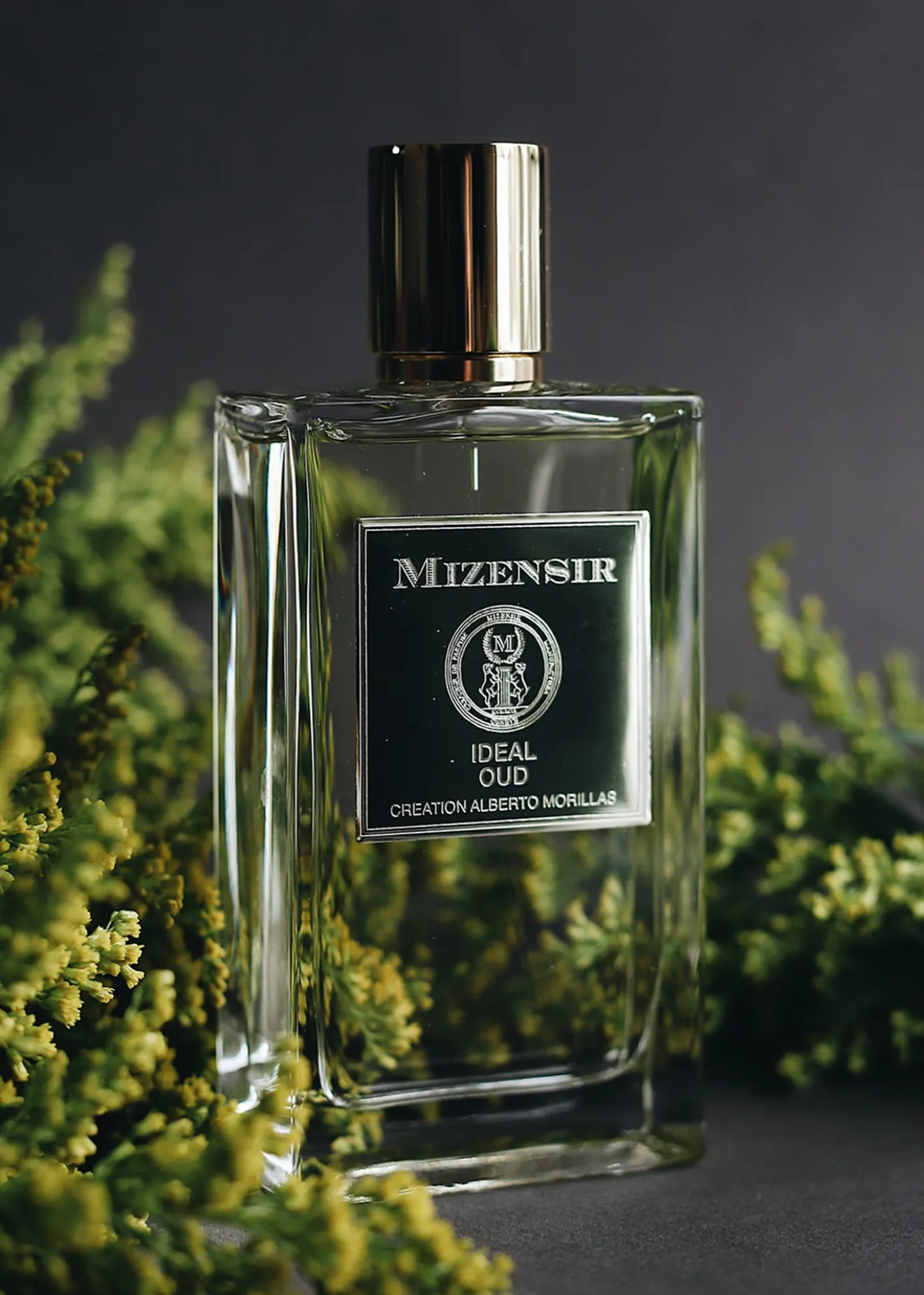 Mizensir3.3 oz. Ideal Oud Eau de Parfum