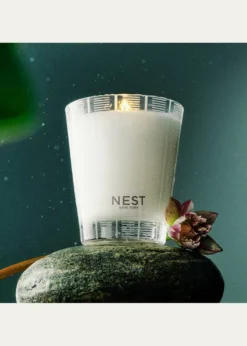 NEST New YorkForest Rain Classic Candle, 8.1 oz.