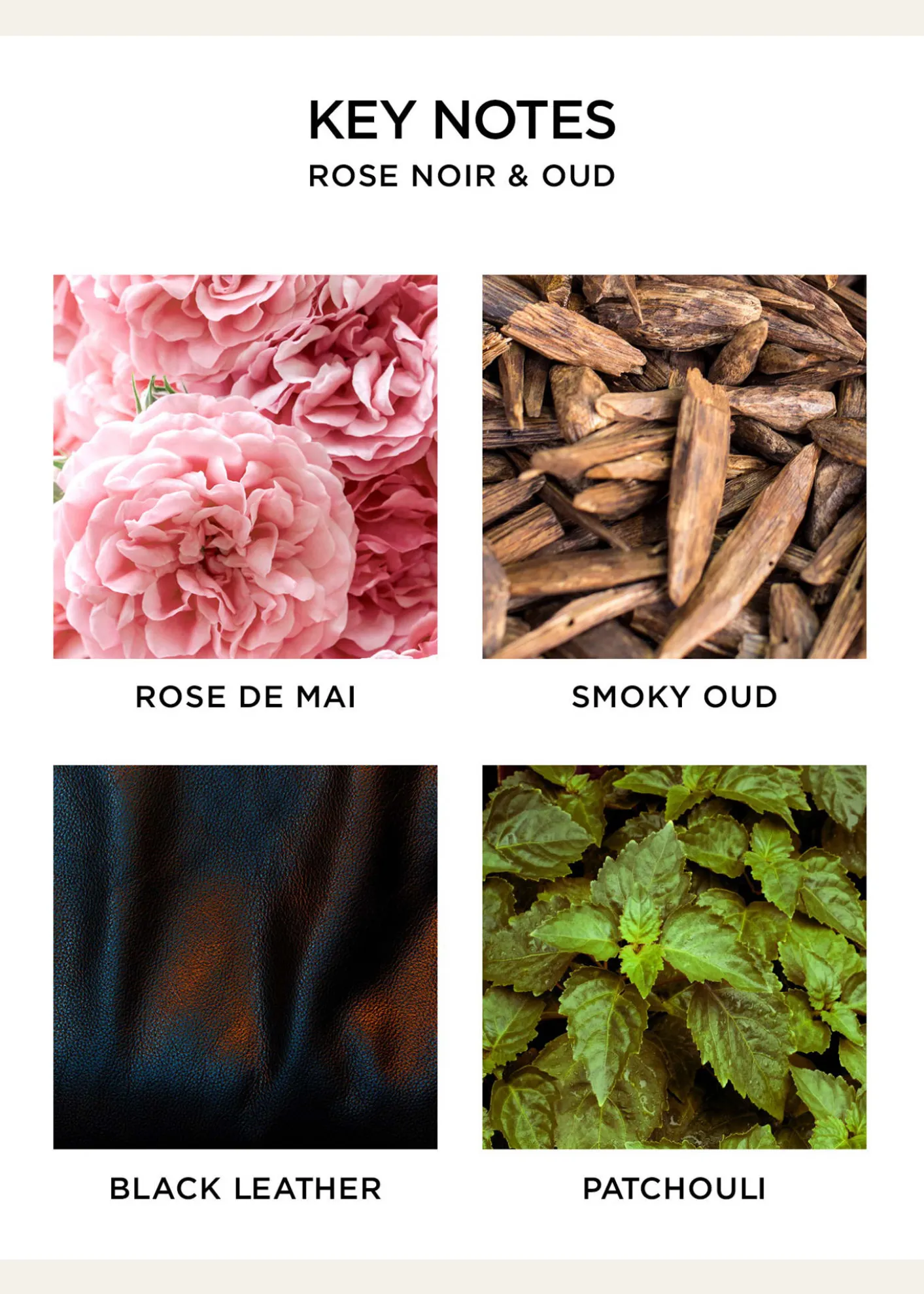 NEST New York5.9 oz. Rose Noir & Oud Reed Diffuser