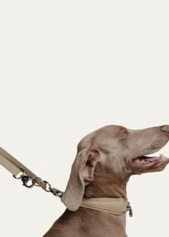 PAGERIEThe Tascher Leash
