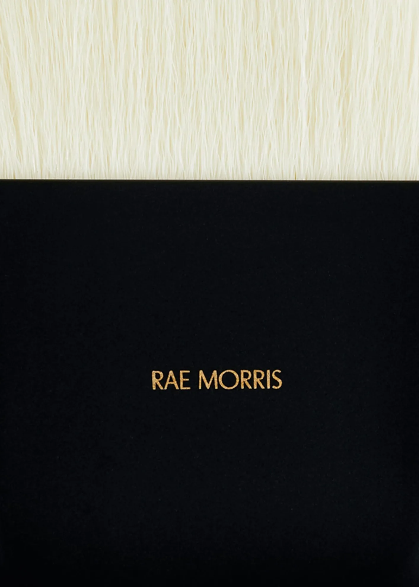RAE MORRISTravel Brush Set