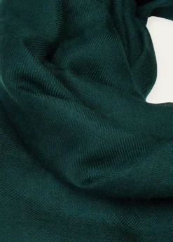 Sofia CashmereLightweight Cashmere Scarf