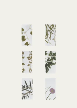 SUMMERILL & BISHOPHerbarium Napkins, Set of 6