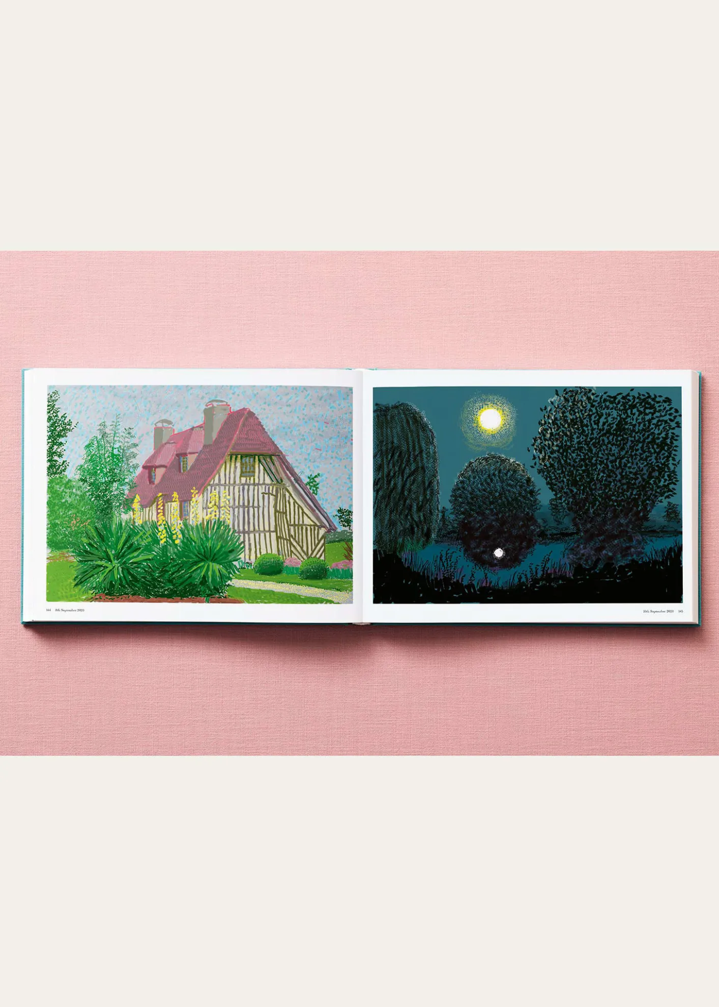 TASCHEN"220 for 2020" Art Book by David Hockney