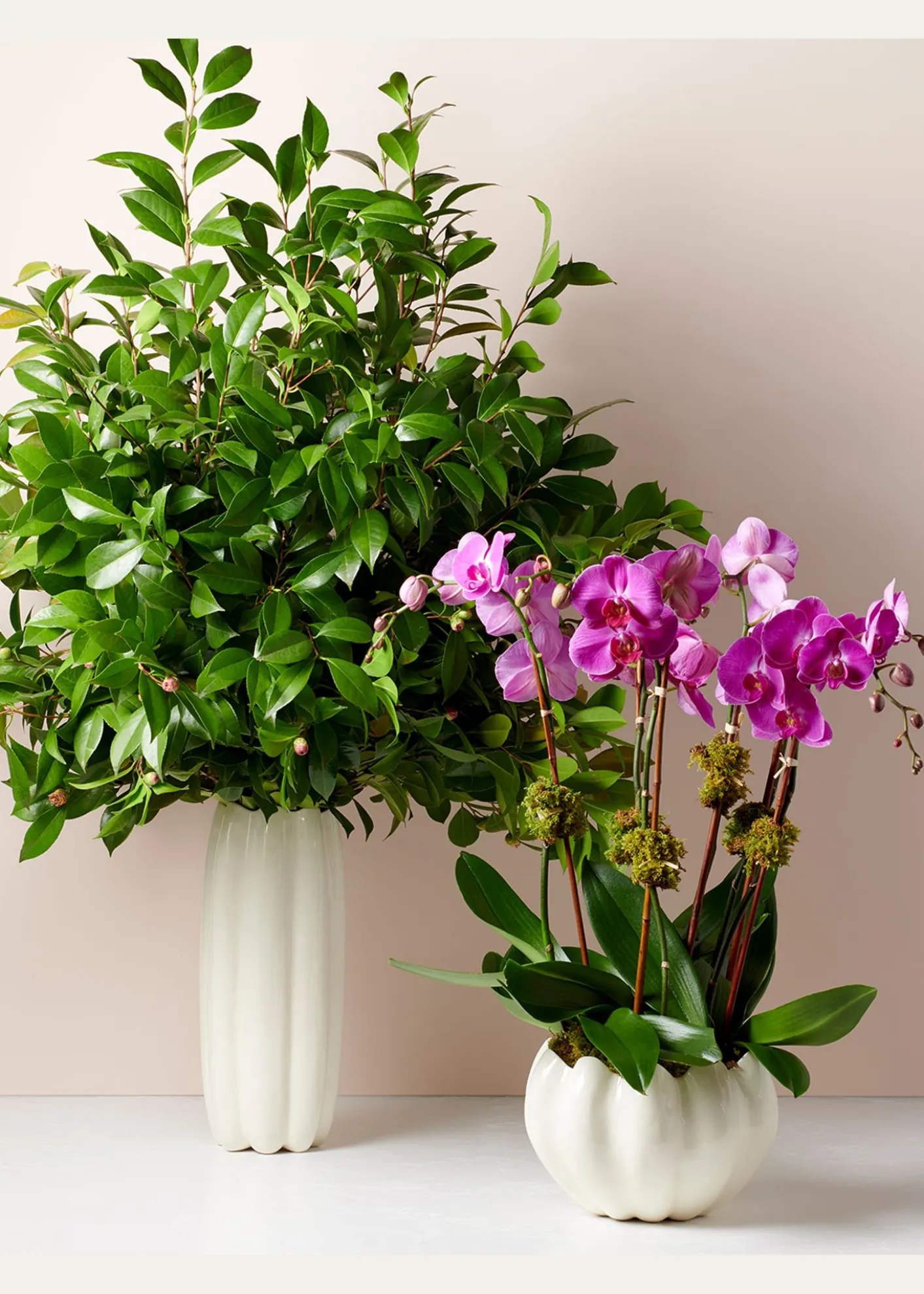 THIS ITEM IS NOT AVAILABLE.AERINMirabelle Tall Vase