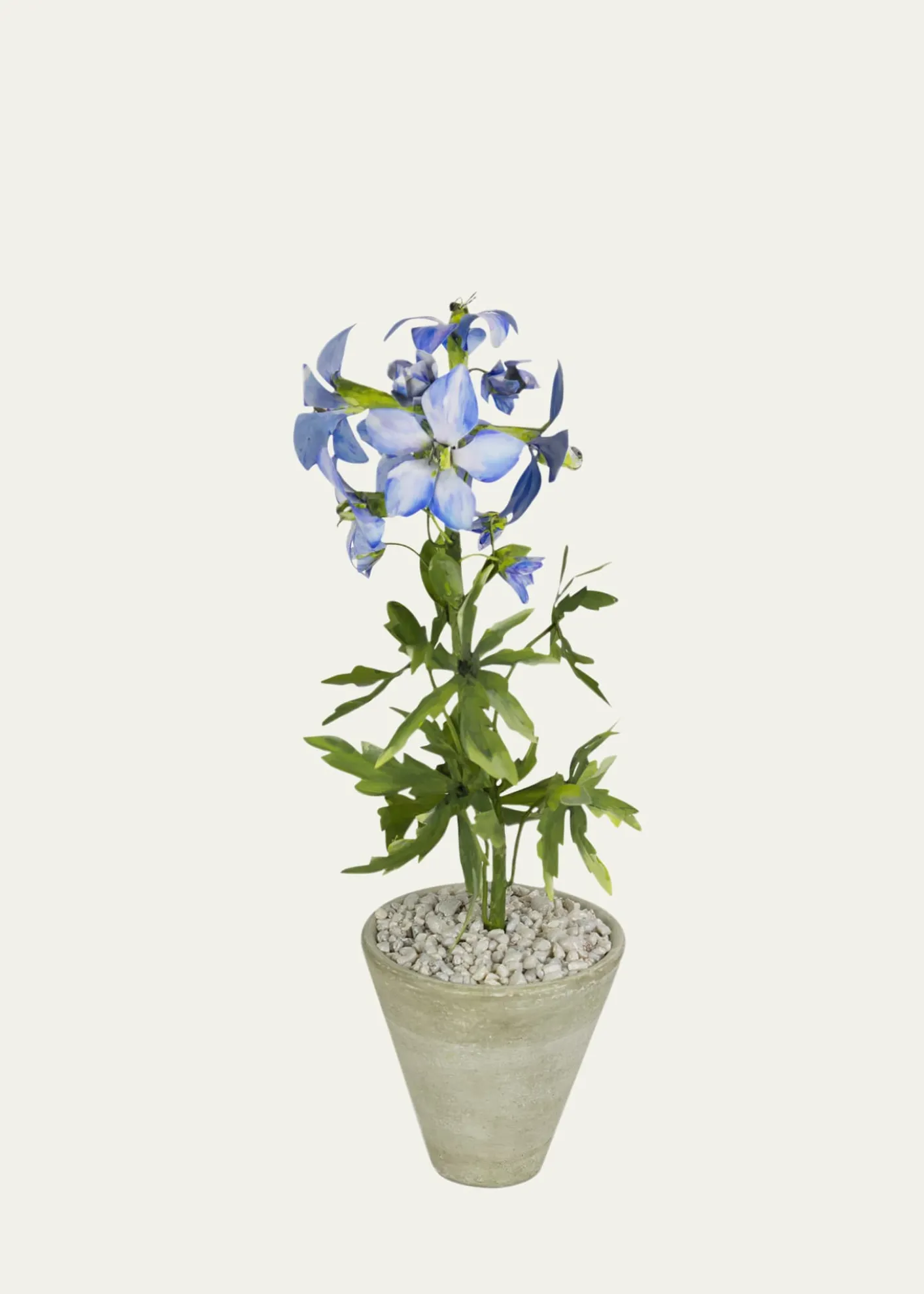 Tommy MitchellDelphinium July Birth Flower in White Terracotta Pot