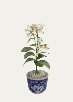 Tommy MitchellHoneysuckle June Birth Flower in Ceramic Pot