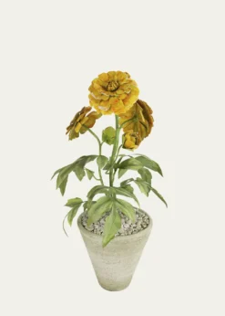 Tommy MitchellMarigold October Birth Flower in White Terracotta Pot