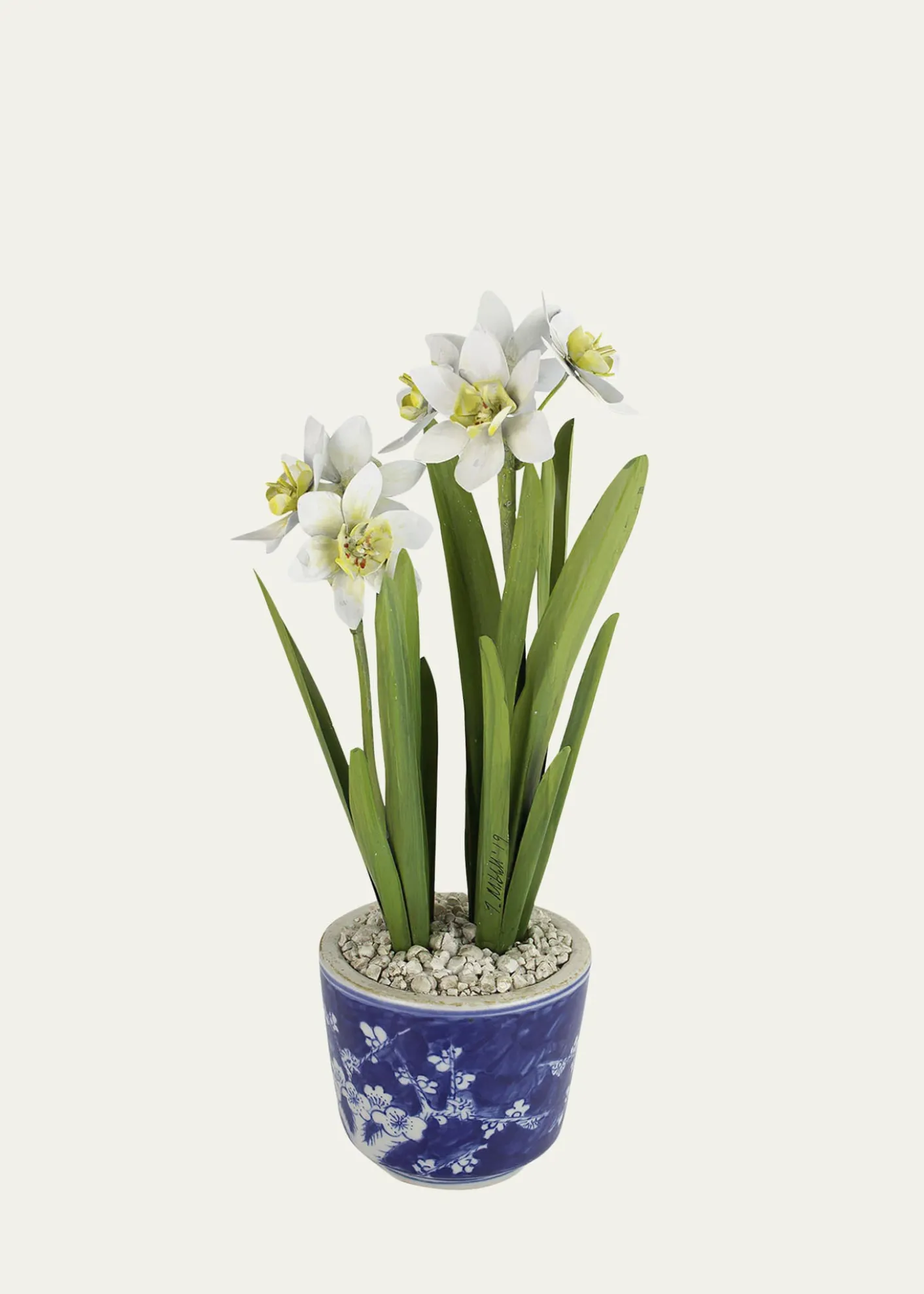 Tommy MitchellNarcissus December Birth Flower in Blue/White Ceramic Pot