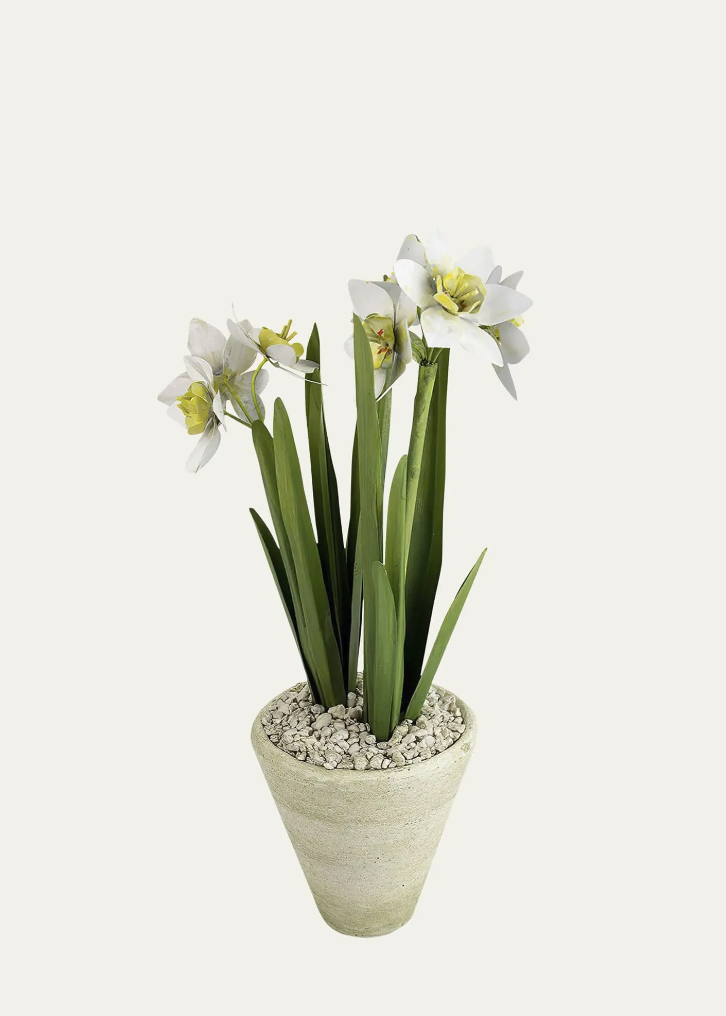 Tommy MitchellNarcissus December Birth Flower in White Terracotta Pot