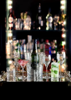 William Yeoward CrystalZelda Martini Cocktail Glass